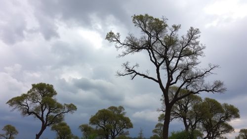 El SMN emitió una alerta amarilla por vientos intensos en la provincia de San Luis