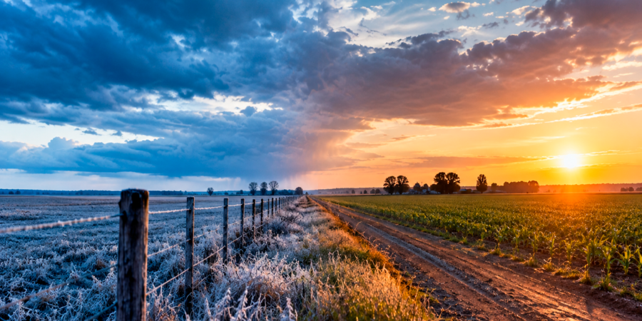 Pronóstico agroclimático: San Luis registrará temperaturas superiores a la media en una semana de escasas lluvias nacionales