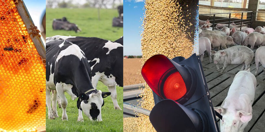 Semáforo de CONINAGRO: los granos y la ganadería se mantienen en verde, pero 9 economías regionales están en rojo