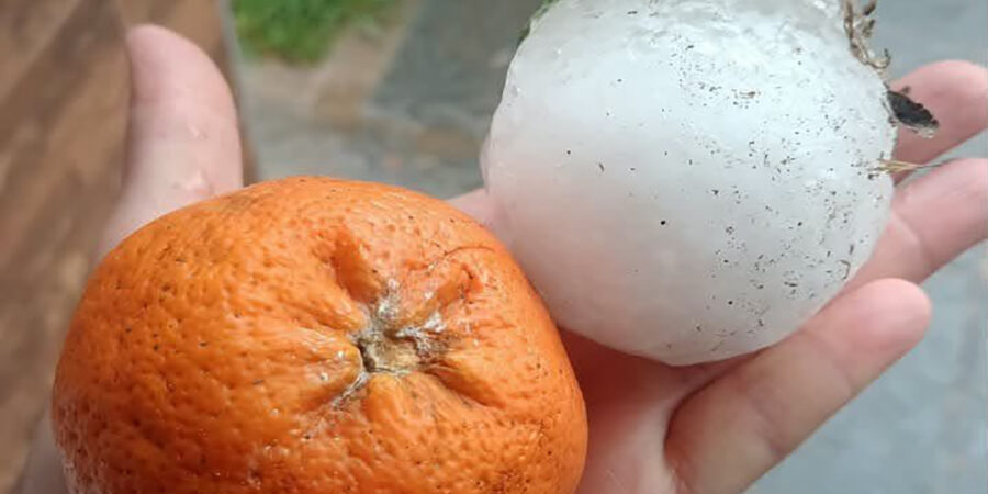 Un fuerte temporal de granizo causó graves destrozos en tambos y campos de Córdoba